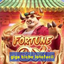 giga bicho lotofacil